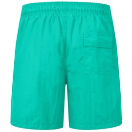TBMPOY Mens Swim Trunks Quick Dry Beach Board Shorts Summer Swim Shorts with mesh Lining ca Light Green L