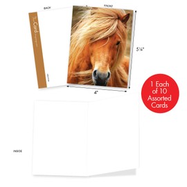 The Best Card Company - 10 Adorable Note Cards Blank (4 x 5.12 Inch) - Wildlife and Animal Cards, Assorted Boxed Kids Set - Magnificent Manes M4601OCB-B1x10