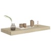 TREATLIFE HOME Stylish Floating Wall Shelves for Transforming Spaces, Invisible
