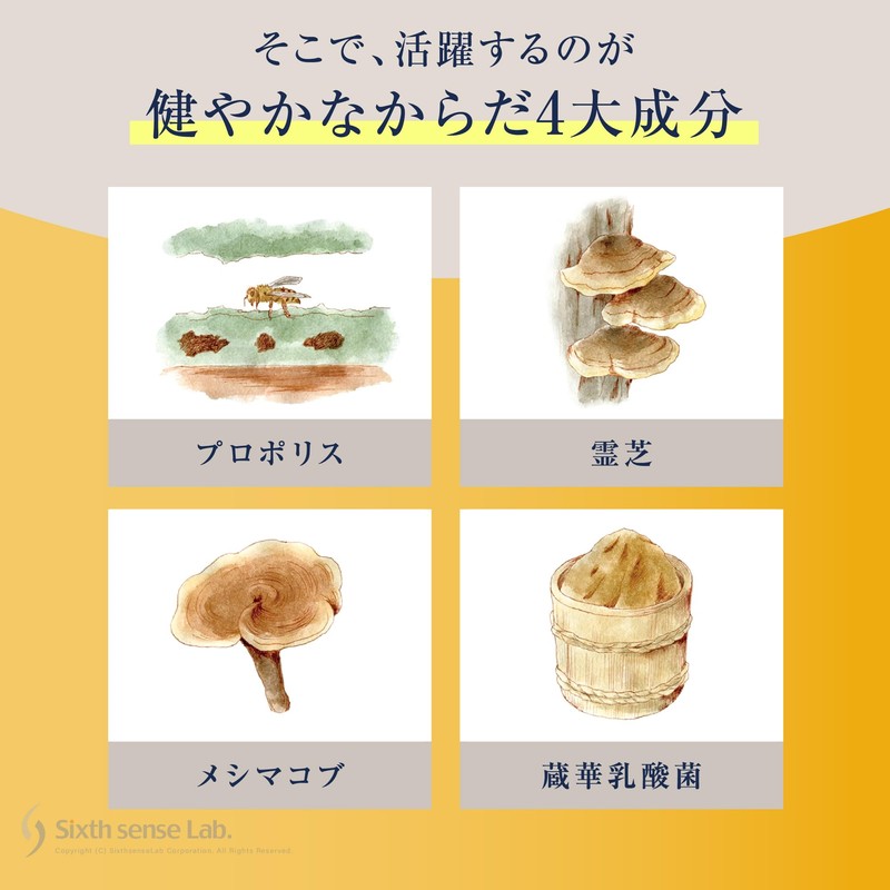 TUMUYUI 守りの極み 女性向け 4大成分 プロポリス 蔵華乳酸菌 メシマコブ 霊芝 和漢サプリ 90粒入り