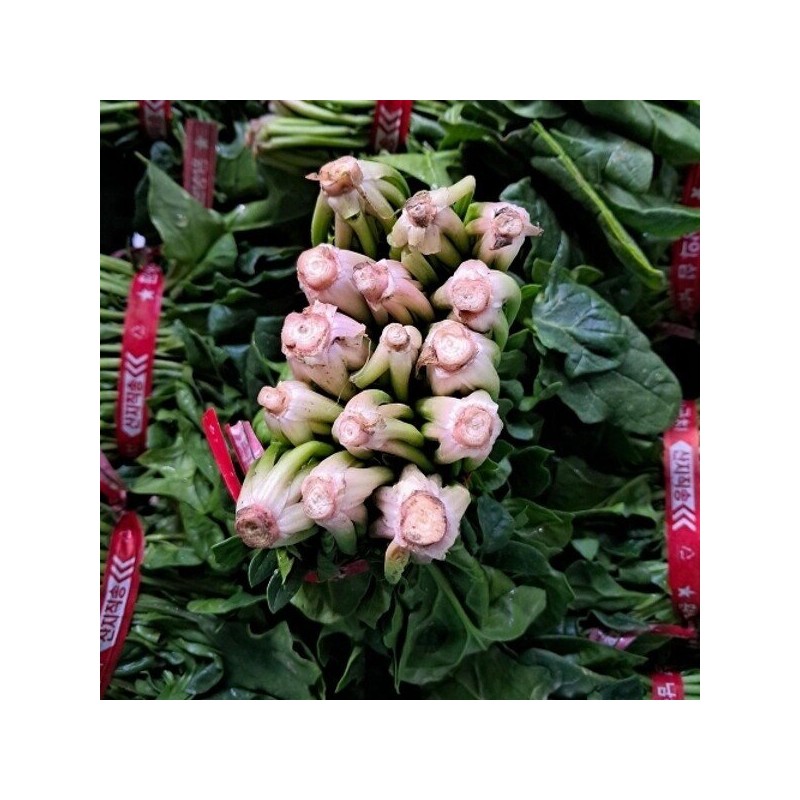 국내산 남해 보물초 해풍 시금치 500g Domestic South Sea Treasure