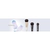 Kumano Brush, Chikuhodo, Genuine Foundation Brush, PF-1, Hair Material: Goat