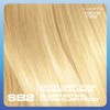 Clairol Nice'n Easy Permanent Hair Dye, SB2 Ultra Light Cool