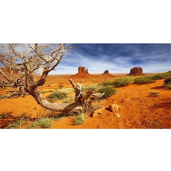 AWERT 72x24 inches Reptile Habitat Background Orange Desert Terrarium Background Durable Polyester Background
