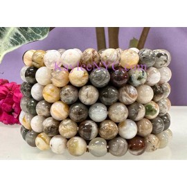 Kayleenyc Wholesale 6 Pcs Natural Bamboo Agate 8mm 7.5” Crystal Bracelet Healing Energy