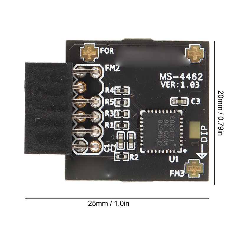 TPM2.0 Module TPM SPI 12Pin Module with SLB 9670 Standalone