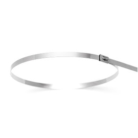 ERKO Edelstahl Kabelbinder 300 x 4,6 mm 100 Stück UV-beständiger Mehrzweck, Professionelle Kabelbinder Metall Rostfrei, Zugfestigkeit bis 190 kg, Chemiebeständig