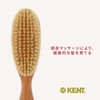 G.B.KENT Extra Hard Bristle Hairbrush Luxury Pig Bristle British Royal
