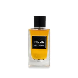 Paris Corner TUDOR Men’s Perfume 3.4 Fl Oz EDP Perfumes