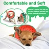 Recovery Donut Collar for Dogs & Cat,Inflatable Dog Collar Alternative