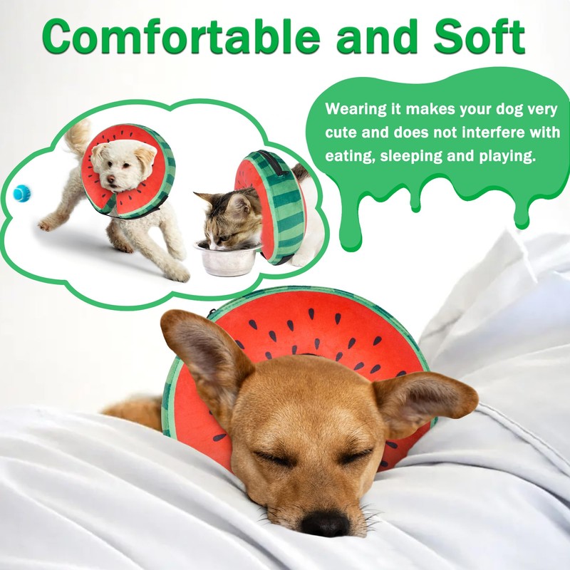 Recovery Donut Collar for Dogs & Cat,Inflatable Dog Collar Alternative