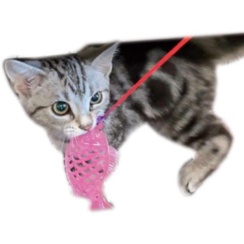Petio Cat Toy for Kittens Peel Off Fish Cat