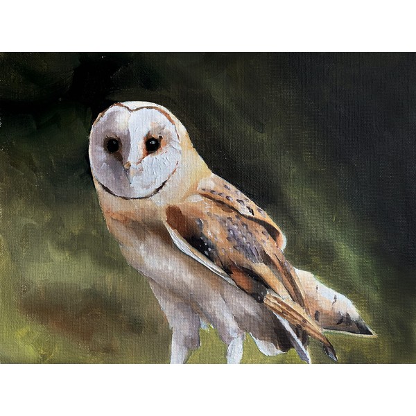 James Coates Owl Card Blank Barn Owl Greeting Card Nature Countryside A5, Multicolour