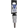 BRILLIANT TOOLS BT021891 3/8 Inch PH Phillips Bit Socket, PH2