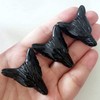 Bacatgem Natural Black Obsidian 1.37 inchs Wolf Head Pocket Crystals