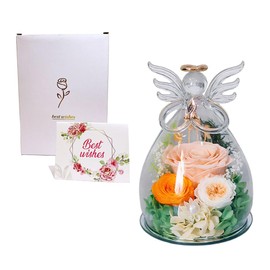 MouMouPurr Preserved Flower Rose Gifts for Women, Forever Eternal Fresh Flowers in Glass Angel Figurines Flowers, Real Colorful Champagne Roses for Birthday, Mothers Day, Christmas, Thanksgiving