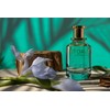 Michael Malul KTORET 831 San Lucas Eau de Parfum for
