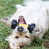 Tonka Axle Tread Dog Toy with Interactive Feeder, Lightweight, Durable