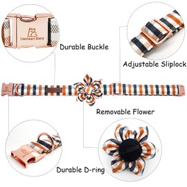 Lionheart Glory Christmas Dog Collar with Flower Plaid Pattern, Gift for Large Dogs