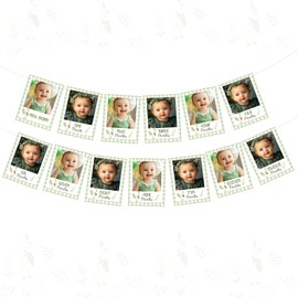 Goose Themed Birthday Party Decoration Silly Goose 1st Birthday Monthly Photo Banner from Newborn to 12 Months Green A Little Silly Goose Is Turning One Photo Display Banner for Boys First Birthday