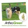 ArthroGreen Junior 25g | Natürlich gesunde Gelenke im Wachstum