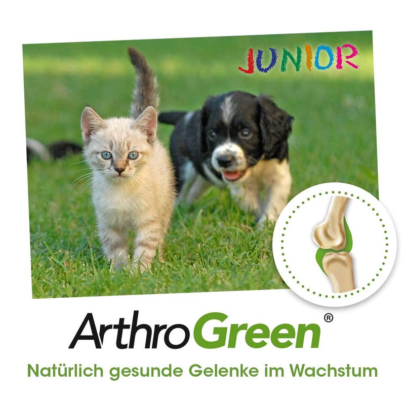 ArthroGreen Junior 25g | Natürlich gesunde Gelenke im Wachstum