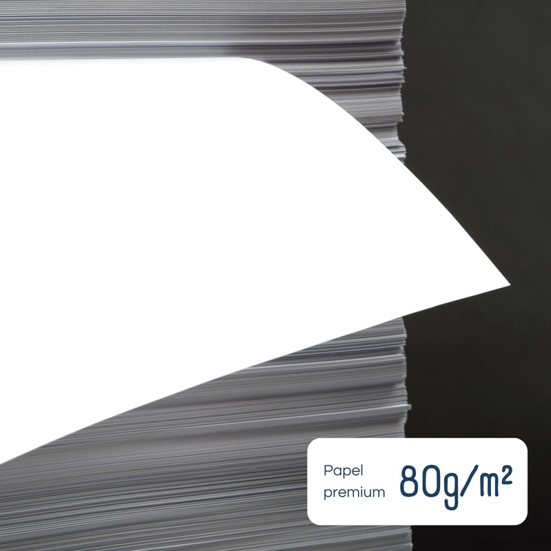 RAYLU PAPER - A4 80g 100 Sheets Premium Multi-Purpose Paper