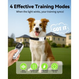 RMOKISIN Dog Shock Collar with Lighting Indicator, Dog Training Collar with Remote 3300FT Range, Rechargeable Waterproof E-Collar for Small Medium Large Dogs (Black)