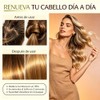 Aceite de Batana para Cabello 100ml，Repara Puntas