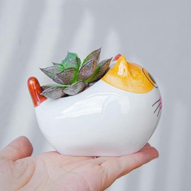 RUIXIAOXI Mini Cat Pots Ceramic Succulent Plant Pot Tiny Animal Planter, Cute Cartoon Cat Shaped Succulent Pot Air Plant Holder for Small Plant Cactus Flowers, No Plants (Embarrassed)