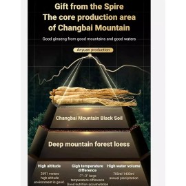 Ginseng Serum,Ginseng Polypeptide Anti-Ageing Essence Oil,Ginseng Gold