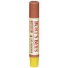 Burt's Bees 100% Natural Lip Shimmer