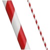 Majestic Red Jumbo Striped Smoothie Straws
