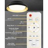 Ken & Ricky Flush Mount Ceiling Light with Remote,Black and