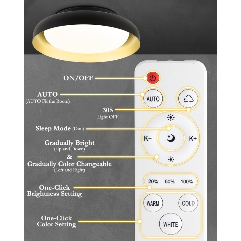 Ken & Ricky Flush Mount Ceiling Light with Remote,Black and