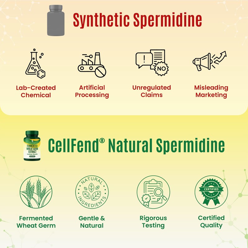 CellFend Fermented Wheat Germ Extract (1000mg) with 10mg Spermidine Per