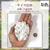 Waka Ammonia Adsorption Stone, 5 Bags, Water Purification, Filter Material,