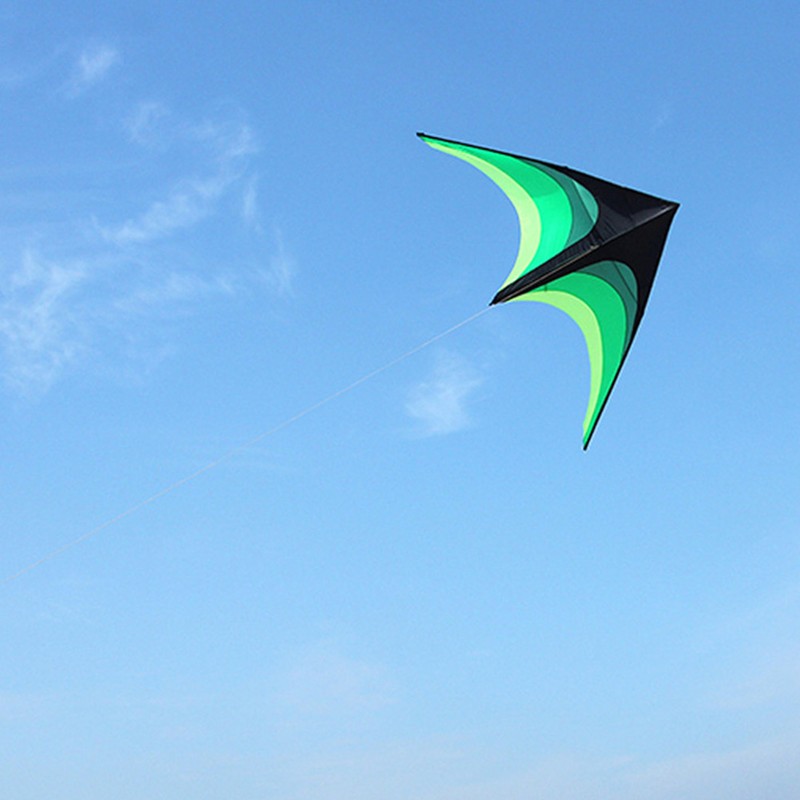 Delta Kite 1.6m Easy to Fly Portable Classic Triangle Kite