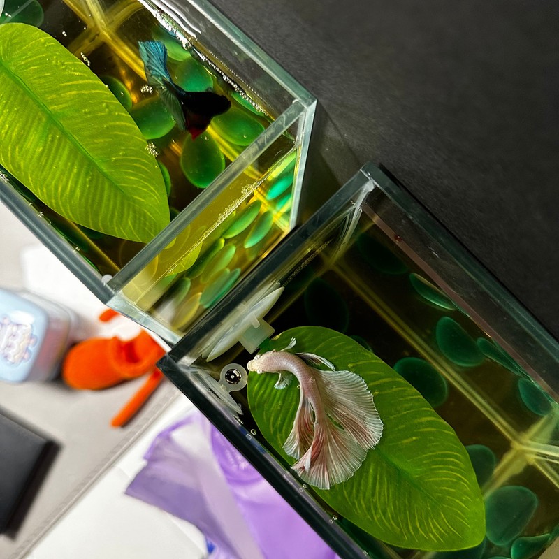 DODOAQUA 2 PCS Aqua Betta Fish Leaf Soft Bed Simulating