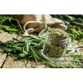 SeedsUA - Seeds Rosemary for Planting Non GMO Heirloom