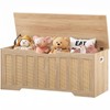 CHOEZON 47.2" Storage Bench, Rattan-Style Storage Chest, Storage Cabinet with