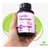 Cardo Mariano 60 Cápsulas 500mg | Suplemento Natural