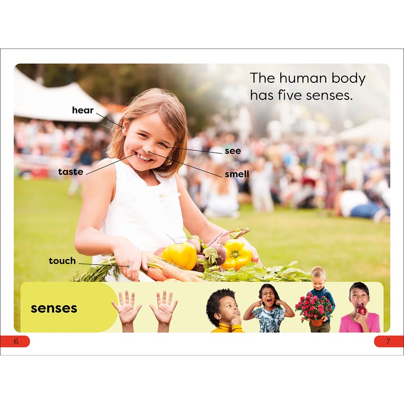 DK Super Readers Pre-Level Five Senses