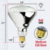 250 Watt Heat lamp Bulb for Bathroom R40 Incandescent Shower