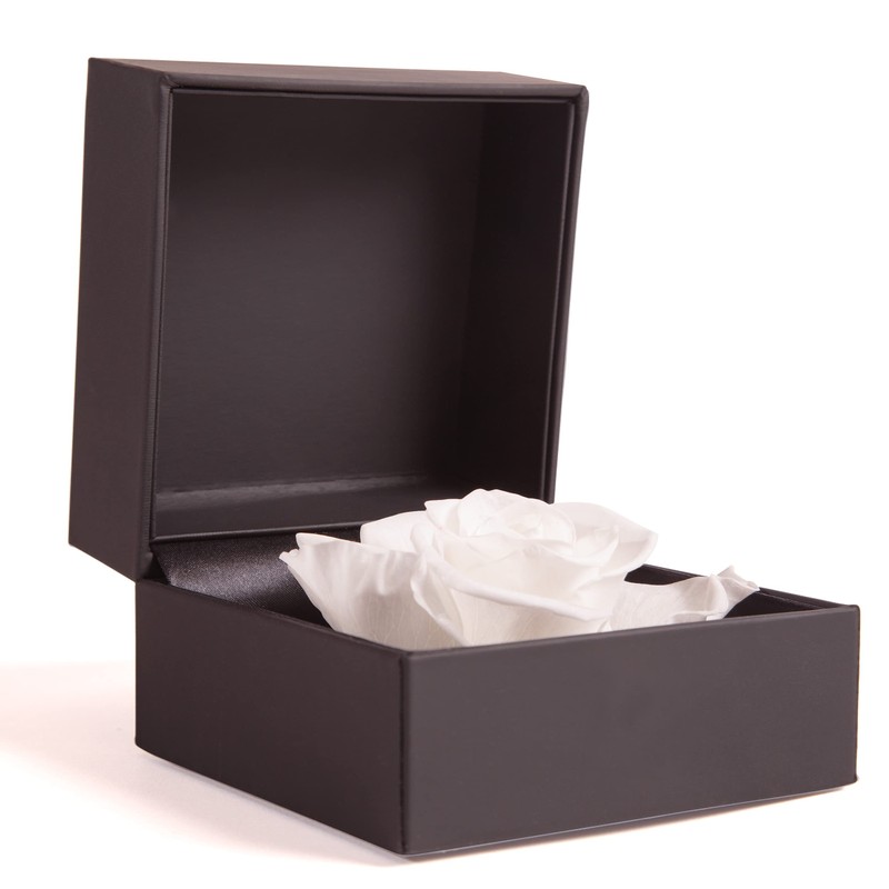 ROSEMARIE SCHULZ Heidelberg Rose Box 1 Infinity Rose White Preserved