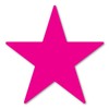 Magenta Star Magnet by Magnet America Is 4" x 4"