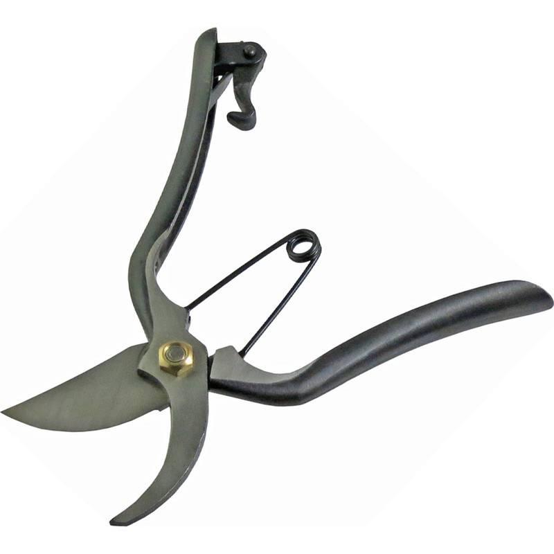 藤光 Pruning Scissor Gold Mailing 200 mm