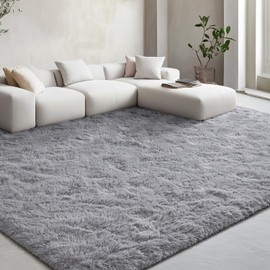 EVOIONOS Ultra Soft Area Rug for Bedroom, 4x6 Machine Washable Fluffy Shag Rug for Living Room, Plush Non Slip Carpet for Indoor Floor Bedside Nursery Kids Girls Room Dorm, Home Decor Aesthetic, Grey