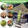 BNOSDM Reptile Hammock Reptile Wooden Ladder Bridge Bearded Dragon Hammock