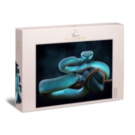 Ulmer Puzzleschmiede - Snake Dream Puzzle - Classic 1000 Piece Puzzle - Mystical Animal Photo with Exciting Snake Motif - The Blue Viper is a Puzzle for Advanced Puzzlers